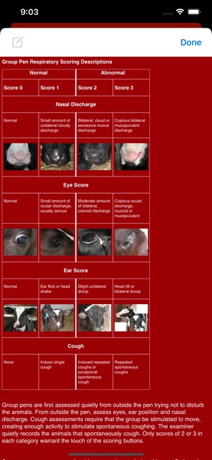 Group Pen Respiratory Scorer screenshot 17 of 20