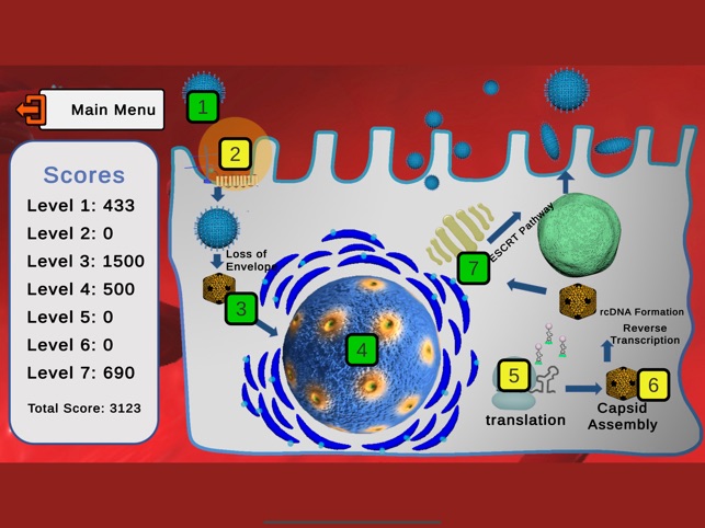 Hep B-Ware™ screenshot 12 of 27