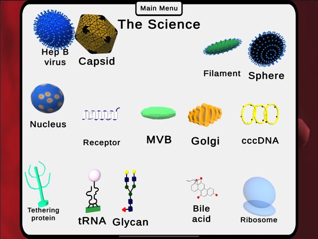Hep B-Ware™ screenshot 14 of 27