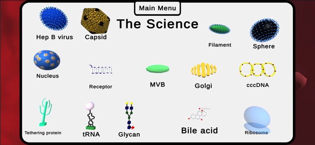 Hep B-Ware™ screenshot 5 of 27