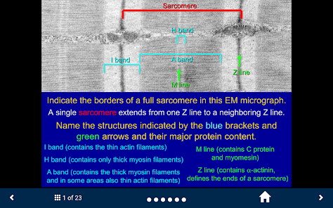 Histology - Basic Tissues screenshot 25 of 25
