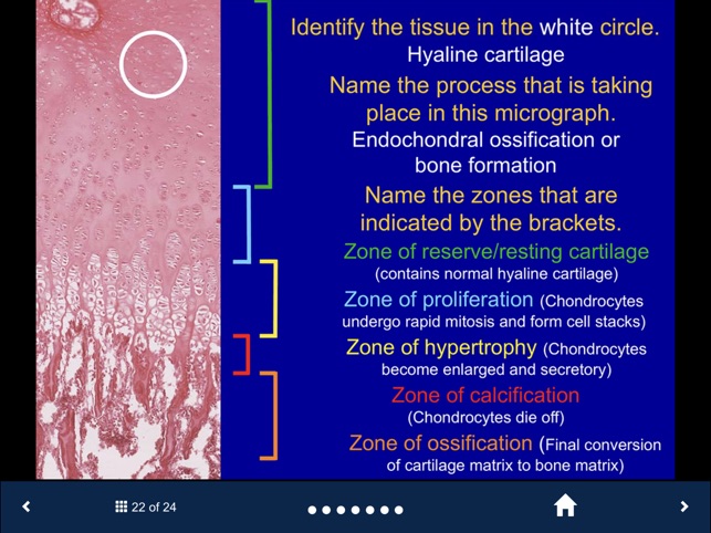 Histology Complete -SecondLook screenshot 2 of 10