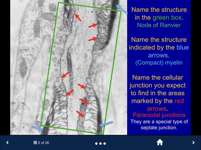 Histology Complete -SecondLook screenshot 4 of 10