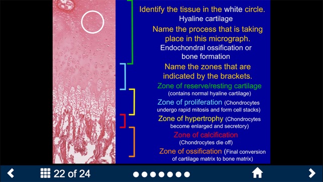 Histology Complete -SecondLook screenshot 7 of 10