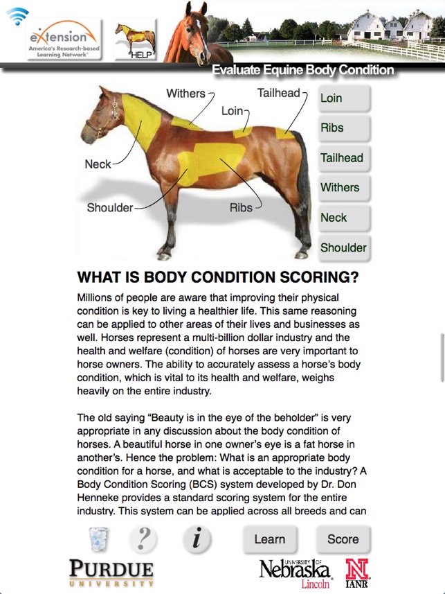 HorseBCS screenshot 1 of 8