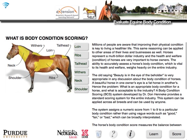 HorseBCS screenshot 2 of 8