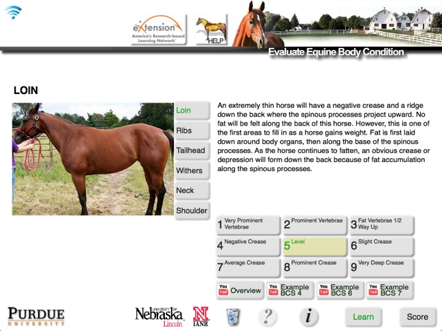 HorseBCS screenshot 3 of 8