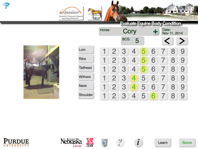 HorseBCS screenshot 4 of 8