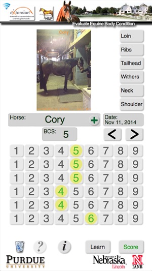 HorseBCS screenshot 8 of 8