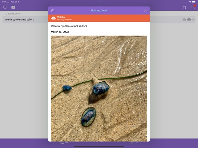 Jellywatch screenshot 4 of 8