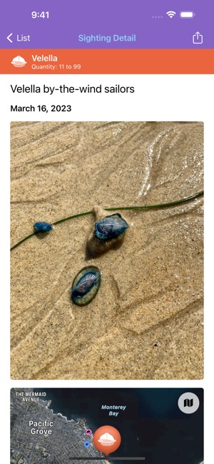 Jellywatch screenshot 8 of 8