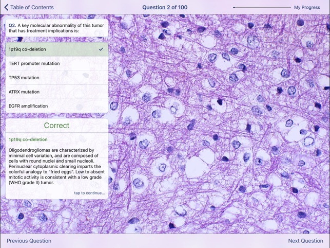 Johns Hopkins Atlas of Surgical Neuropathology screenshot 4 of 5