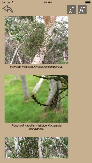 Landscape MD screenshot 3 of 4