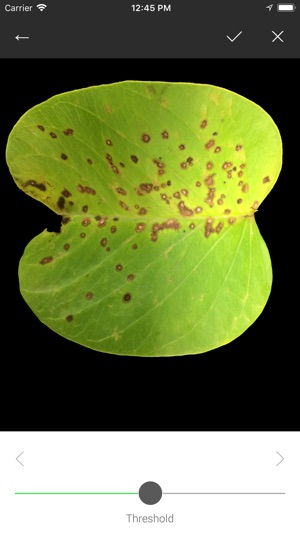 Leaf Doctor screenshot 2 of 4