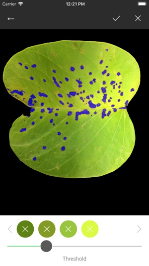 Leaf Doctor screenshot 3 of 4