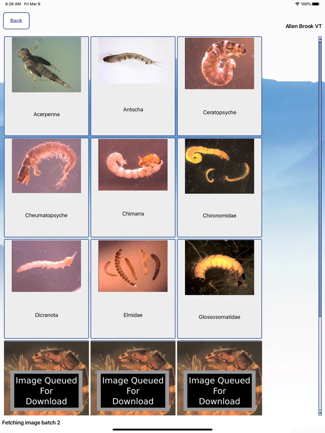 MacroInvertebrates screenshot 3 of 8