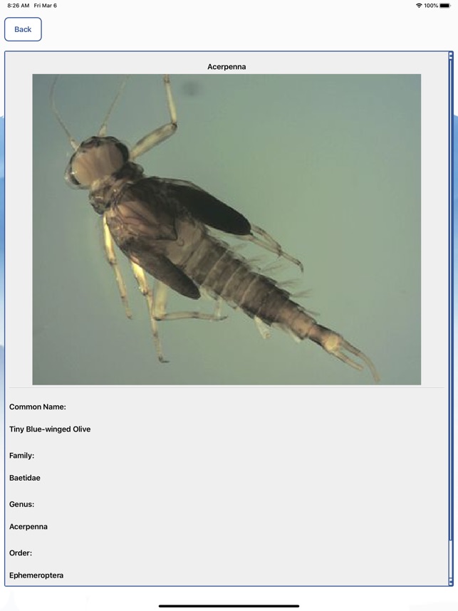 MacroInvertebrates screenshot 4 of 8