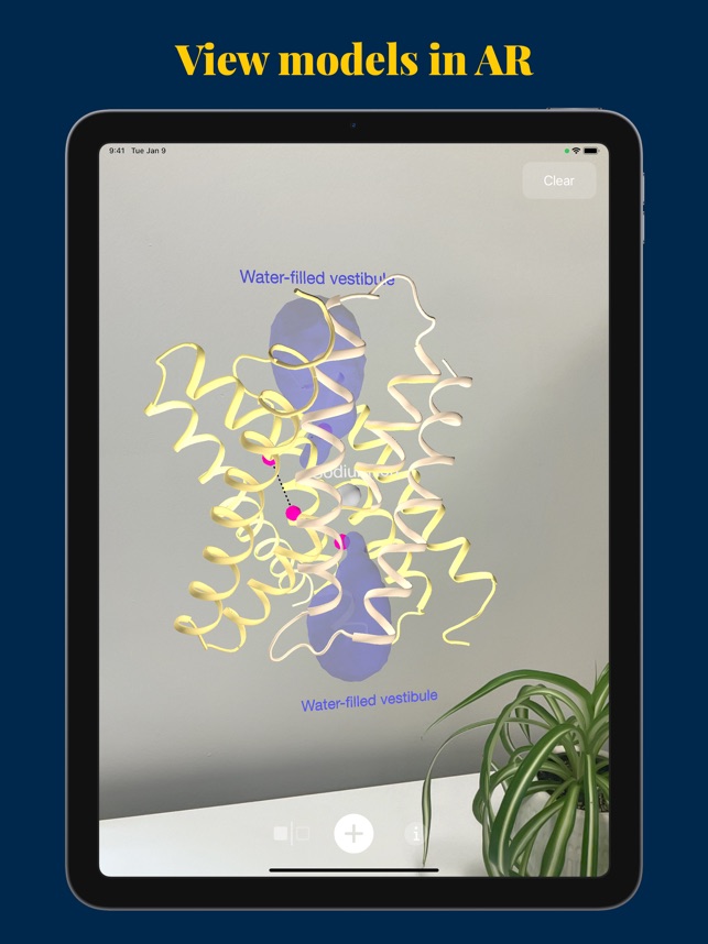 MacromoleculAR screenshot 1 of 12