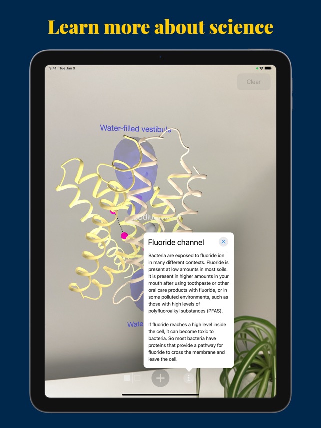 MacromoleculAR screenshot 3 of 12