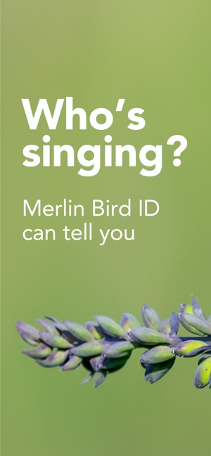 Merlin Bird ID by Cornell Lab screenshot 1 of 16