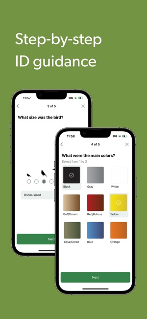 Merlin Bird ID by Cornell Lab screenshot 6 of 16