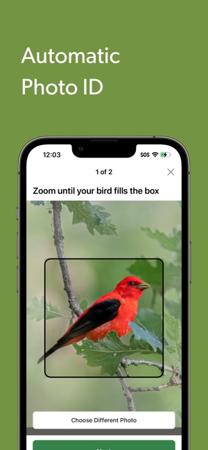 Merlin Bird ID by Cornell Lab screenshot 7 of 16