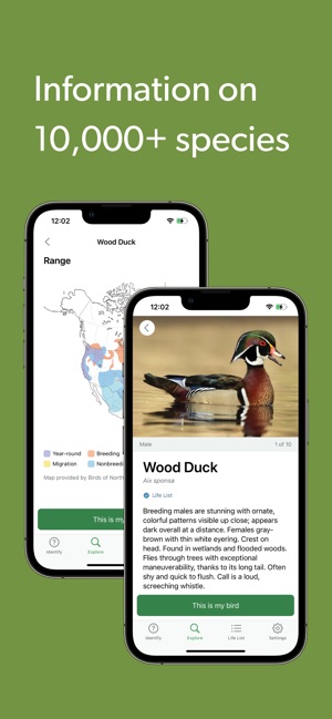 Merlin Bird ID by Cornell Lab screenshot 8 of 16