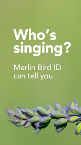 Merlin Bird ID by Cornell Lab screenshot 9 of 16