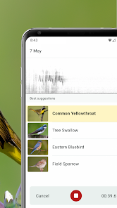 Merlin Bird ID by Cornell Lab screenshot 11 of 16