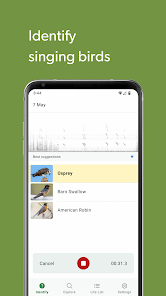 Merlin Bird ID by Cornell Lab screenshot 12 of 16