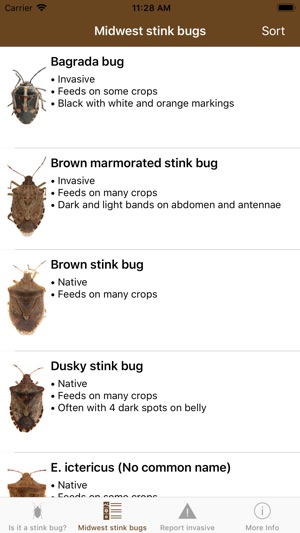 Midwest Stink Bug screenshot 2 of 6