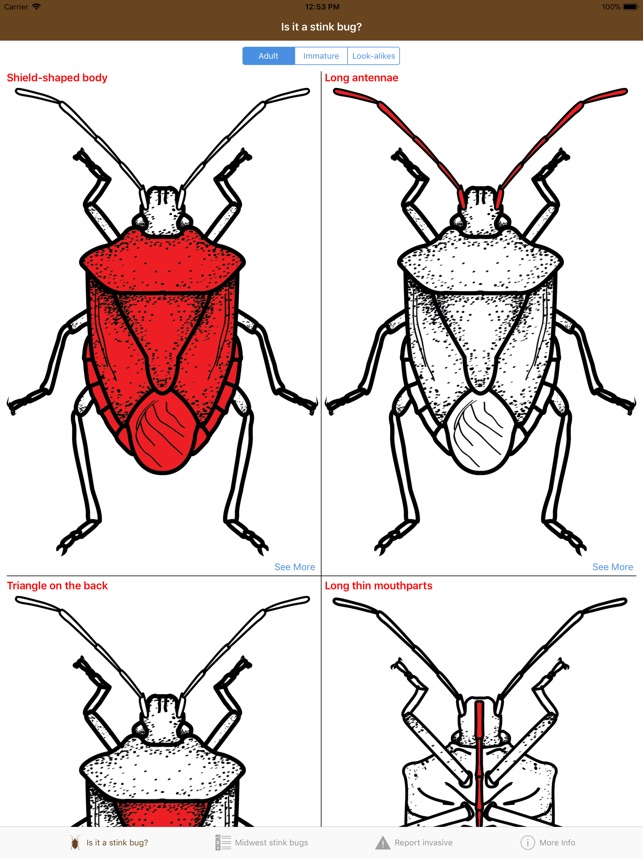 Midwest Stink Bug screenshot 6 of 6