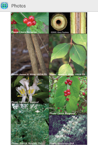 MISIN: Report Invasive Species screenshot 14 of 16