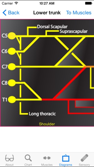 Nerve Whiz screenshot 2 of 5