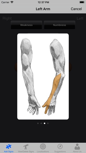 Neuro Localizer screenshot 2 of 5