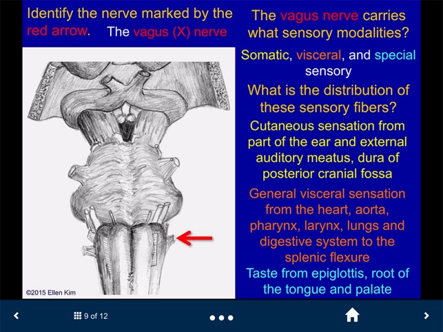 Neuroanatomy - SecondLook screenshot 4 of 10
