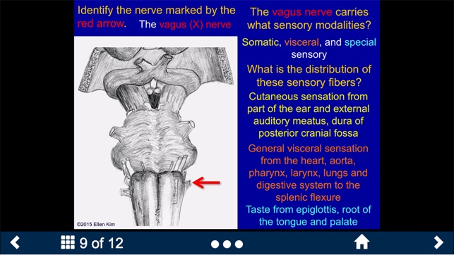 Neuroanatomy - SecondLook screenshot 9 of 10