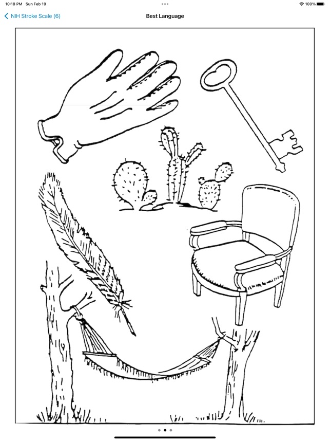NIH Stroke Scale Calculator screenshot 4 of 12