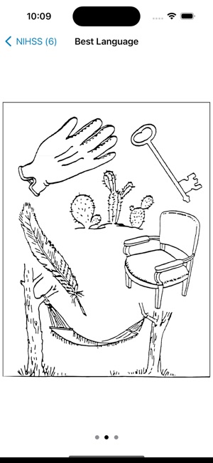 NIH Stroke Scale Calculator screenshot 10 of 12