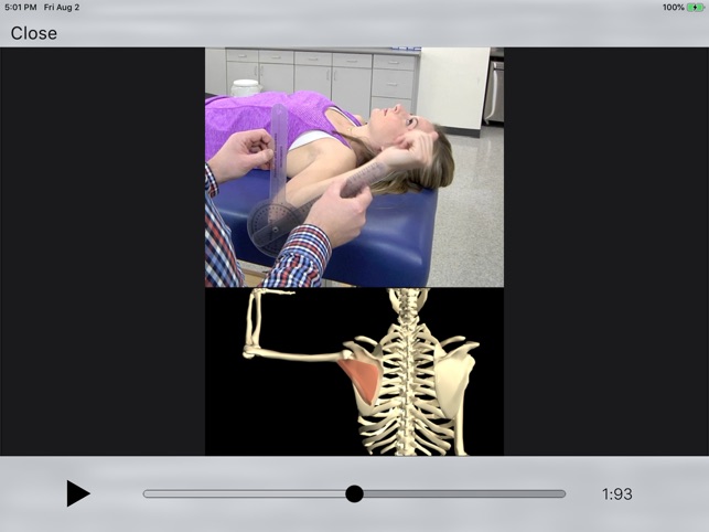 OT Kinesiology Pro Consult screenshot 4 of 10