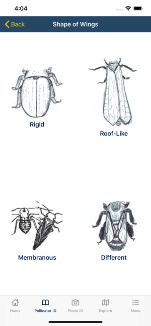 PolliNation ID screenshot 4 of 17