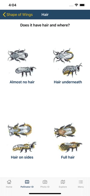 PolliNation ID screenshot 5 of 17