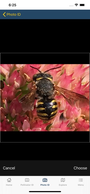 PolliNation ID screenshot 7 of 17