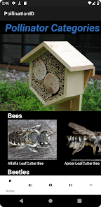 PolliNation ID screenshot 11 of 17