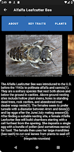 PolliNation ID screenshot 13 of 17