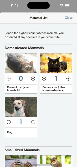 Project FeederWatch screenshot 10 of 18