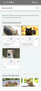Project FeederWatch screenshot 16 of 18