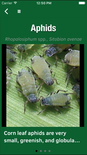 Purdue Extension Corn Field Scout Preview screenshot 1 of 4