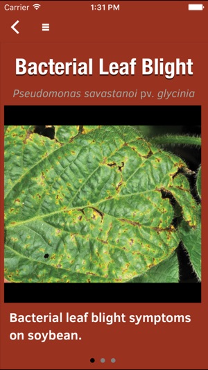 Purdue Extension Soybean Field Scout screenshot 2 of 5