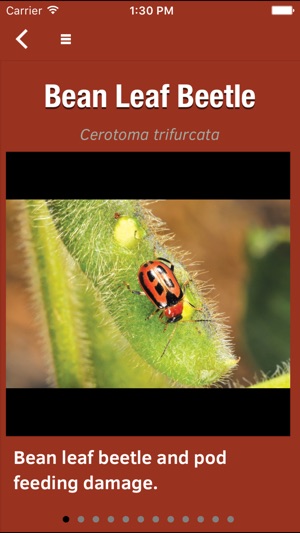 Purdue Extension Soybean Field Scout screenshot 5 of 5